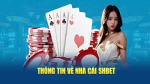 Shbet – Nền tảng cá cược an toàn, uy tín với cơ hội thắng lớn