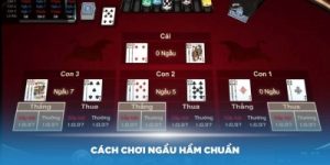 Ngầu hầm – Game bài đấu trí hấp dẫn chiến thuật chơi thắng lớn